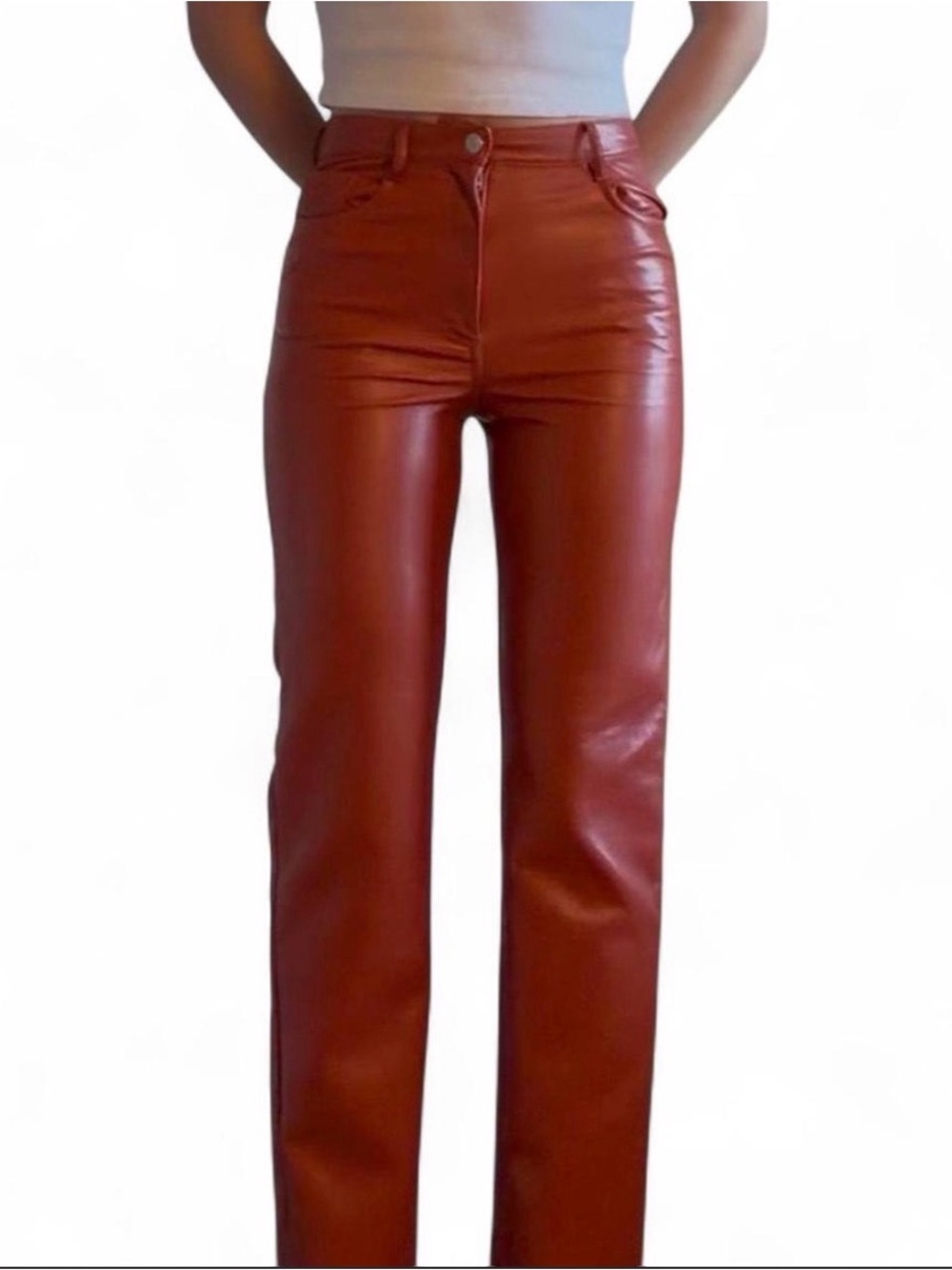 Aritzia Wilfred Leather Pants